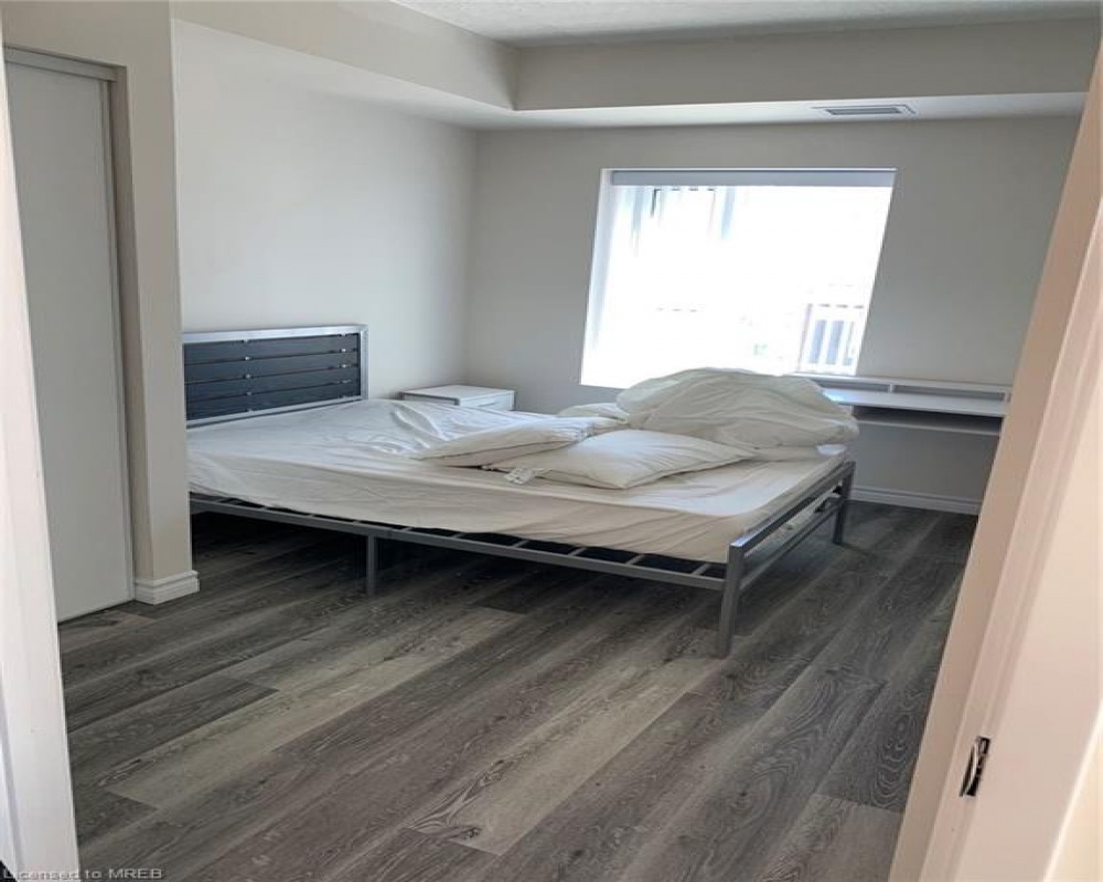 246 LESTER, Waterloo, Ontario N2L 3W5, 3 Bedrooms Bedrooms, ,2 BathroomsBathrooms,Residential,Sale,LESTER,40251907