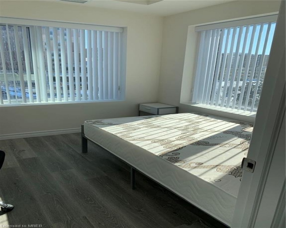 246 LESTER, Waterloo, Ontario N2L 3W5, 3 Bedrooms Bedrooms, ,2 BathroomsBathrooms,Residential,Sale,LESTER,40251907