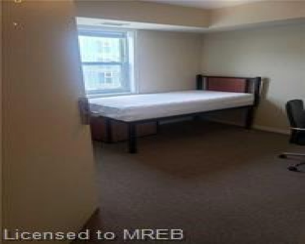 261 LESTER, Waterloo, Ontario N2L 3W6, 5 Bedrooms Bedrooms, ,Residential,Sale,LESTER,40255065