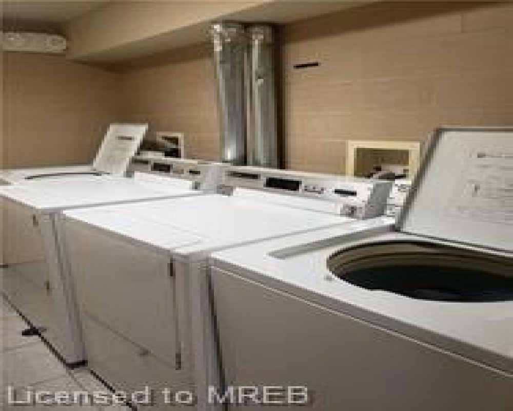261 LESTER, Waterloo, Ontario N2L 3W6, 5 Bedrooms Bedrooms, ,Residential,Sale,LESTER,40255065