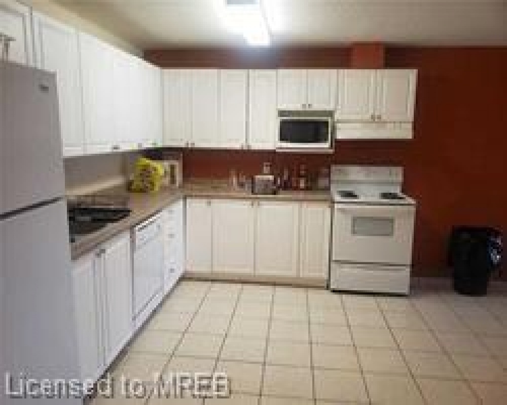 261 LESTER, Waterloo, Ontario N2L 3W6, 5 Bedrooms Bedrooms, ,Residential,Sale,LESTER,40255065