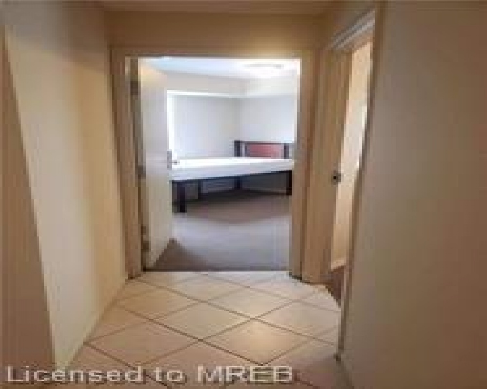 261 LESTER, Waterloo, Ontario N2L 3W6, 5 Bedrooms Bedrooms, ,Residential,Sale,LESTER,40255065